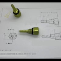 Genexhaust_Magnetic_Dipstick_with_diagram